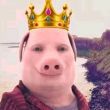 百度用户UID2461690549 piggod91神 piggod2778 的头像