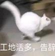 百度用户UID1700870550 合适风 乘霄山⛰️陪伴 的头像