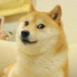 百度用户UID1212130746 Jindoge null 的头像
