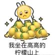 百度用户UID1358813579 Parole丨永恒 null 的头像