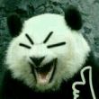 百度用户UID1538466343 问题发给5 TYSB♂ 的头像