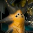 百度用户UID5693862741 114514qwe5 季一星 的头像