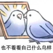 百度用户UID1805478516 思念你灬 Namelessa 的头像