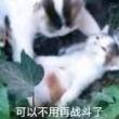 百度用户UID892841346 闪瞎了喔 小蒙七- 的头像