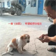 百度用户UID1293658908 SizzFlairRLK 轻微的等着 的头像
