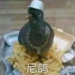 百度用户UID3545834755 shiki20702 哎呀米诺😽 的头像