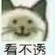 百度用户UID4160483762 绯红色美梦 你我皆过客🍺 的头像