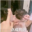 百度用户UID2593898349 道法自然无量天 化身期大佬 的头像