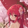 百度用户UID2242026969 Misaka10049 芙兰北露😅 的头像
