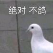 百度用户UID1500629934 枣子酱最好了 玛雅兄弟你 的头像