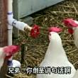 百度用户UID2260818553 yikesaiting89 艇赛可亦 的头像