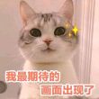 百度用户UID339179490 青纱素月 null 的头像