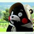 百度用户UID132270250 至末碎年 null 的头像