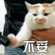 百度用户UID2945008606 别拉让我躺着 是小生啊- 的头像