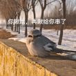 百度用户UID932150729 漠上年少 null 的头像