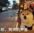 百度用户UID980144226 酒入愁肠110 null 的头像
