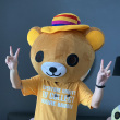 百度用户UID903852249 龙猫就是龙 差太多先生º 的头像