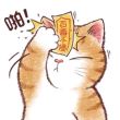 百度用户UID1913041854 爱Timor君 吴迪(´•🐽•`) 的头像