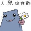 百度用户UID4188504337 114514寄寄国王 咕灰盒- 的头像