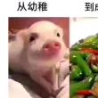 百度用户UID2052973146 哈护手霜8 夏天不穿短裤😳 的头像