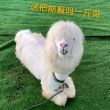 百度用户UID892911392 这个法师不科学 师者为大 的头像