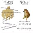 百度用户UID1641857314 秒赞亲使劲顶 null 的头像