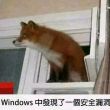百度用户UID6352036153 Hs108RePulse -洞爺狐- 的头像