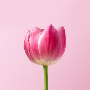 百度用户UID6450497178 西瓜不太甜awa null 的头像