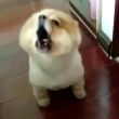 百度用户UID1611594444 蓝银798 藍銀 的头像
