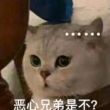 百度用户UID3474363802 八级疯狗 咔咔咔咔咔咔咳咳咳 的头像