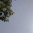百度用户UID1452565606 很小牙签 青草夕溪 的头像