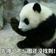 百度用户UID165699508 490419631 林霏当开🍁 的头像