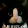 百度用户UID2089710823 万般_无奈 我早都不知道 的头像