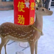 百度用户UID3958970043 null RDOUT_7655 的头像
