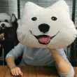百度用户UID799567035 vannesswewe711 为什么我的ID会那么长 的头像