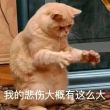 百度用户UID569840502 令人蛋疼的AI null 的头像