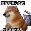 百度用户UID1795849798 0那一抹蓝白0 null 的头像