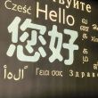 百度用户UID7037787626 null 一个冬眠的用户ovo 的头像