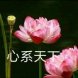 百度用户UID351013310 尼古拉斯富贵 null 的头像