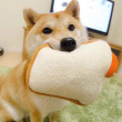 百度用户UID766431594 拖劳 AhdhsjdvsX 的头像
