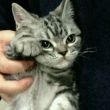 百度用户UID67122449 熊猫不哭哦 null 的头像