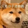 百度用户UID815845142 无聊啊无聊22 null 的头像
