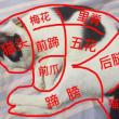 百度用户UID1461860344 云深雾霭归处 横笛赋歌 的头像