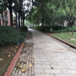 百度用户UID2857124469 mjy小影 null 的头像