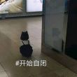 百度用户UID2404551268 饶卡龙 仰山🐭人 的头像