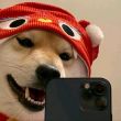 百度用户UID778012230 穿裤衩上街c丶 子浩丶 的头像