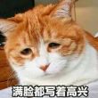 百度用户UID4194208463 流火纹go 小行星之火⚡ 的头像