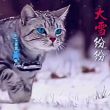 百度用户UID4063723177 null 北海诗音 的头像