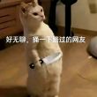 百度用户UID7055706364 橙蓝森林 水下遮阳伞 的头像