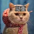 百度用户UID857429938 邪漓歌 梦飞扬在深秋✨ 的头像